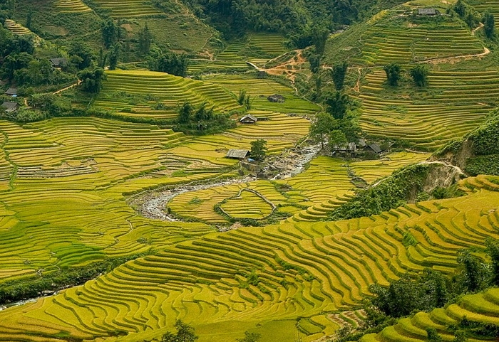 Discover Muong Hoa Valley with 2 nights Homstay