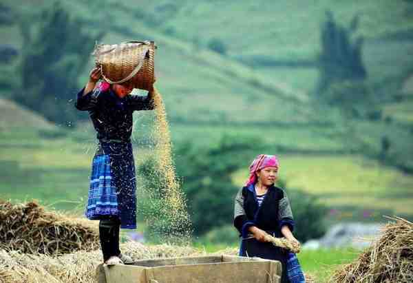 Black Hmong hill tribe